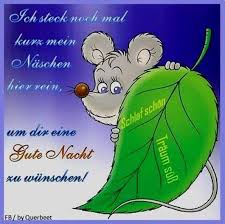 Gute Nacht Spruche Fur Freunde Gutenachtbilder Gutenachtspruchefurfreunde Gutenachtspruchefurfreundepics Gute Nacht Gute Nacht Grusse Gute Nacht Freunde