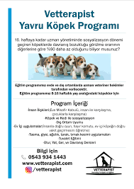 Yavru Kopek Programi Vet Terapist