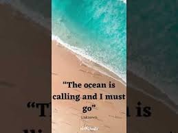 You can never cross the ocean standing on the side of the shore. 04 Short Sea Ocean Quotes Youtube