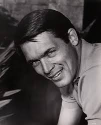 Chad Everett's Career in Classic Television Shows