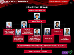 Sebagai contoh perubahan dari struktur organisasi yang birokratis menjadi. Kumpulan Inovatif Kreatif Ppt Download