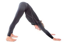 See full list on verywellfit.com Downward Facing Dog Pose Adho Mukha Svanasana Yoga By D