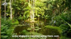 Browse 879 singapore botanic gardens stock photos and images available, or search for singapore zoo or singaporean culture to find more great stock photos and pictures. Singapore Botanic Gardens The World Heritage Site