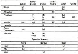 This means that apart from some exceptions, letters in spanish are always pronounced in the same way, and unlike english, . Speech Development In Spanish And English