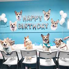 Corgi Birthday Party Diy The Thecorgi Birthday Corgi Dog Birthday Party Dog Party Decorations With tenor, maker of gif keyboard, add popular birthday corgi animated gifs to your conversations. corgi birthday party diy the thecorgi