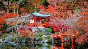 Le Jardin Daigo Ji Temple Des Fleurs A Kyoto En 2020 Jardin Japonais Jardins Jardin Botanique