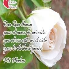 Mi cariño hacia ti no tiene límites y te seguirá hasta el mismo cielo en este día tan especial. Fallecida Frases De Cumpleanos Para Una Madre Que Ya No Esta Frases Para Una Madre Fallecida