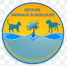 Le bon coin animaux : Leboncoin Fr Images Leboncoin Fr Transparent Png Free Download
