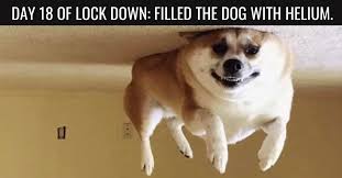 These Are The 50 Best Covid 19 Memes For The Week Of April 20 We Are The Mighty