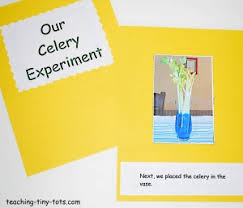 We did not find results for: Celery Experiment How Plants Absorb Water In This Science Activity
