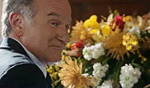 Michelle williams GIF