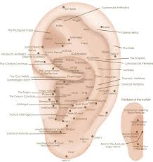 Auricular Therapy With Color Light For Rapid Results