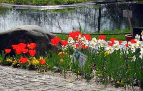List your business or download gps coordinates. Jubilaumsjahr Fur Botanischen Garten Wuppertal Total Aktuelle Nachrichten Und Lokale News