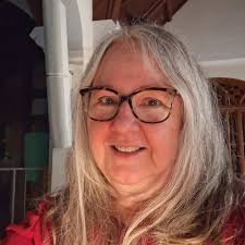 My sims player canceled my action