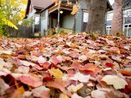 Contact us permits pay utility bill. Top 10 Best Leaf Removal Services In Minneapolis Mn Angi Angie S List
