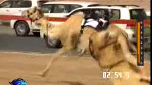 يدخل كلا الفريقين الشباب والنصر هذه المواجهة وهما في أتم الجاهزية سواء من الناحية الفنية أو المعنوية، حيث إن الفريق الشبابي يدخل هذه المواجهة بعد فوزه على ضيفه الأهلي في مباراة دائما ما تحفل بالإثارة بين الفريقين، وأما الفريق النصراوي فهو يدخل لهذا اللقاء. Ø§Ù„Ø´Ø¨Ø§Ø¨ÙŠ ÙØ²Ø§Ø¹ Ø§Ù„Ø¹Ø§ØµÙÙ‡ Ù‡Ø¬Ù† Youtube
