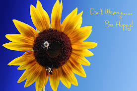 Be happy don't worry, be happy don't worry. Don T Worry Bee Happy Photograph By Kristin Elmquist