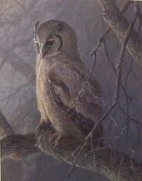 Robert Bateman Sappi Giant Eagle Owl Owl Art Wildlife Art Animal Art
