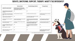 Support Dog Or Pampered Pet Training Tells The Difference Peak Pets Jhnewsandguide Com