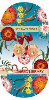 Hudson Valley Seeds Art Pack Strawflower Seed Art Seed Company Seed Packaging