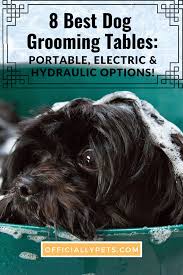 8 Best Dog Grooming Tables Portable Electric Hydraulic Options Dog Grooming Best Dogs Dogs