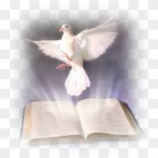 Check spelling or type a new query. Paloma Paloma Silvestre Volando Hd Png Download 1067x800 2337667 Pngfind