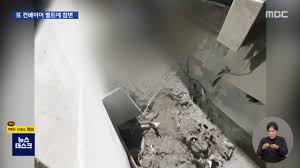 트위터, 집단지성으로 가짜뉴스 막는다…'버드워치' 도입. Wq3n7pwwftm9am