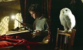 Harry potter music & ambience | rainy night at hogwarts. What Makes The Prisoner Of Azkaban Best In The Movie Franchise The Daily Star