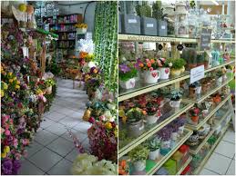 Aksesoris ruang tamu, aksesoris kamar tidur, aksesoris dapur dan aksesoris lainnya. Lima Tempat Unik Untuk Belanja Pernak Pernik Rumah Di Semarang Bramasole Travel Lifestyle Self Healing Journal