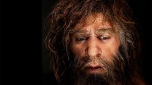 (dev bir kuş, neandertal çocuğun kemiklerini yemiş). European Neandertals Were Cannibals Science Aaas