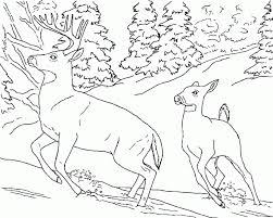 Nature is all around us, and young learners want to know about it. Category Coloring Pages Of Nature Scenes Nature Coloring Pages Coloring Home