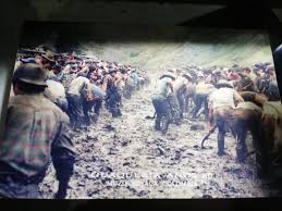 Viviana Roa, una piedra preciosa en La Candelaria