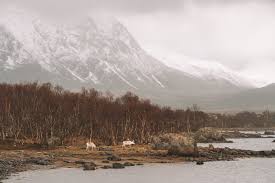 Überraschend ist auch das winterklima in andøya. 5 Reasons To Visit Vesteralen On Your Way To Lofoten Le Big Trip