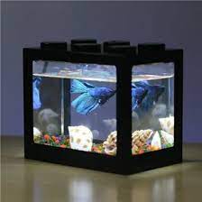 Lalu, sudahkah anda memelihara ikan hias kecil yang bisa bertahan lama? Harga Aquarium Mini Terbaru Dan Terlengkap Juli 2019 Bukalapak