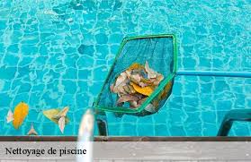 Entreprise Nettoyage De Piscine A Les Clayes Sous Bois Tel 01 85 53 38 77