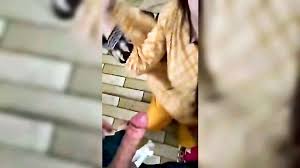 Pathan Girl Sucking And Fucking - XXXBP