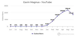 Creators On The Rise 12 Year Old Gavin Magnus Subscriber