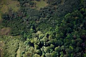 By far the most thoroughgoing and influential of the early theorists was immanuel kant, towards the end of the eighteenth century. Plain Language Summary The Importance Of Environmental Aesthetics Relational Thinking