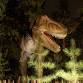 Dinos After Dark event image