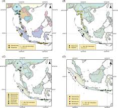 Image result for Pseudocalyx ochraceus