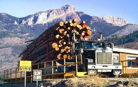 Maybe you would like to learn more about one of these? 8 Great Reasons To Consider A Career As A Truck Driver Employment Commercial Drivers