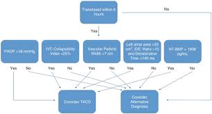 Image result for Transfusion Associated Circulatory Overload