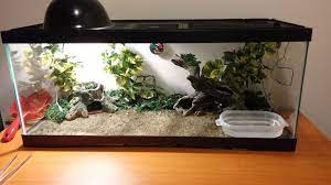 They are perfect apartment reptiles with requiring no bugs in their diet at all. How To Set Up A Reptile Terrarium 8 Steps With Pictures Instructables
