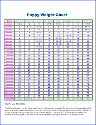 Puppy Growth Charts 2019