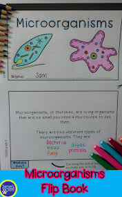 Pin On Tpt Can Teach Every Child