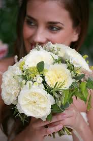 Patience (Auspastor) English Garden Rose