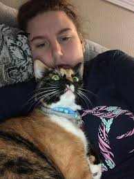 Lost dog found in Milton and Pace area