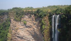 Image result for Inversodicraea