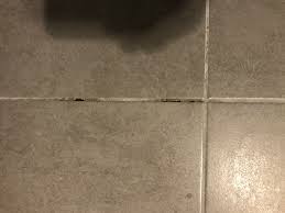 J'ai fais construire l'année dernière, et dans mon salon séjour (60m²), j'ai fais l'erreur de mettre des joints gris clairs.qui sont très salissant avec un gros toutou. Refaire Des Joints De Carrelage Mal Faits Venus Et Judes