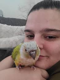 Let's welcome our new members! Wesley Goldrich, Jose Luis Focarazzo,  Tennille Kinney, Cody Chatelain, Jayden Nebeker Thomas, Carmen Holley,  Damian Ganga, Leann True-Thompson, Teesha True, Ashley Renfro